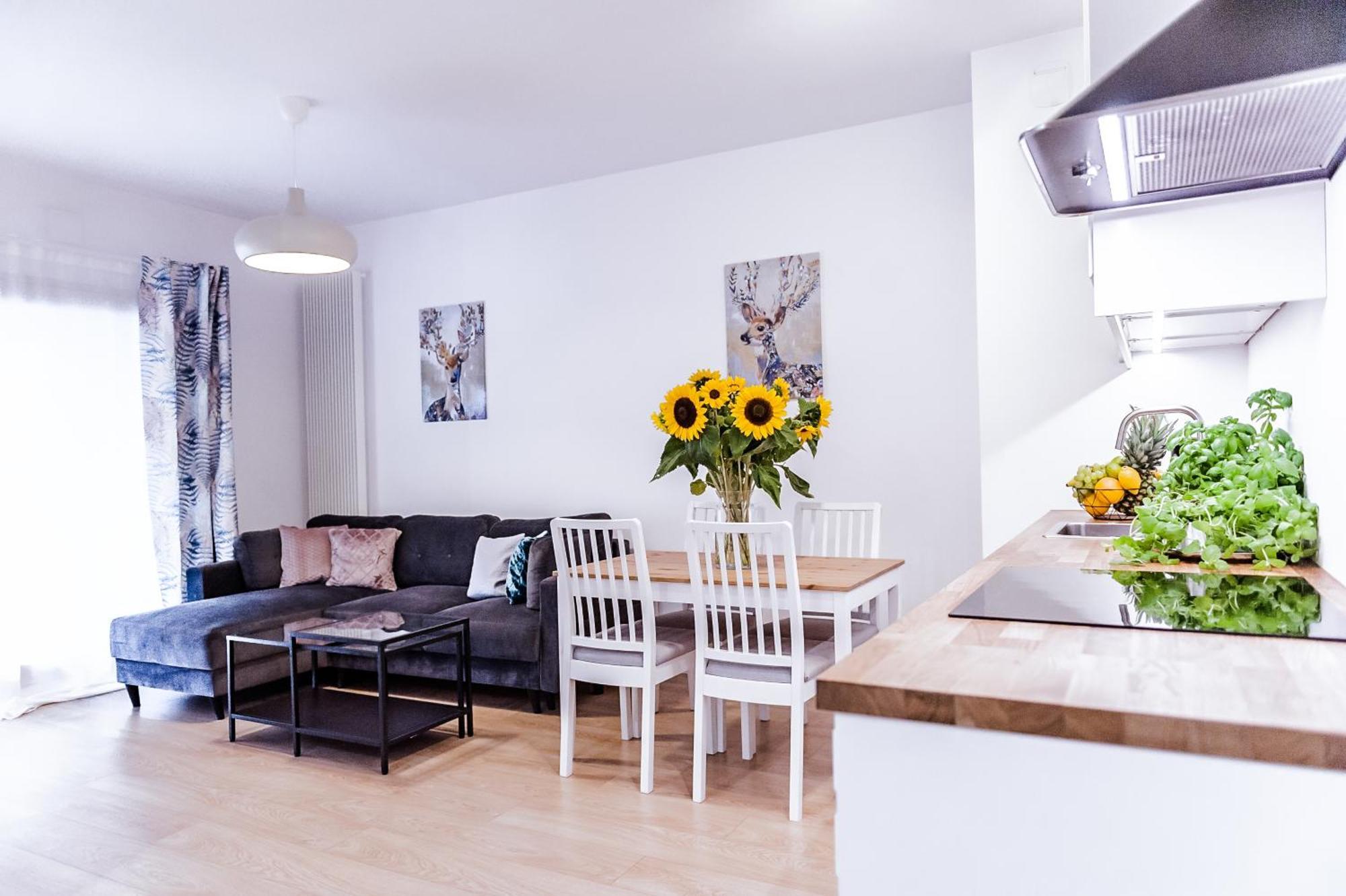 Appartement 3 In Mennica *